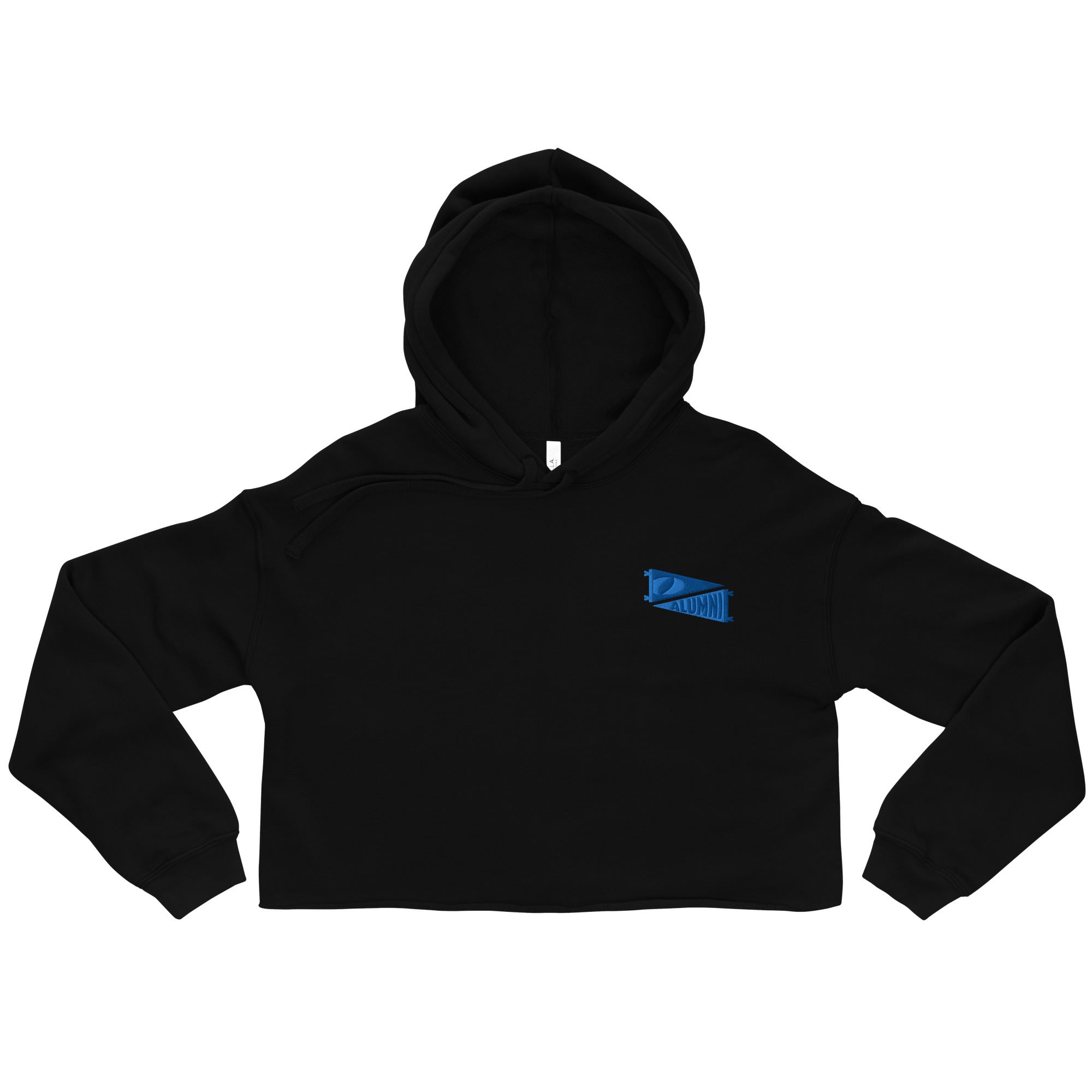 Alumni Pennant Crop Hoodie | OLIN MERCH